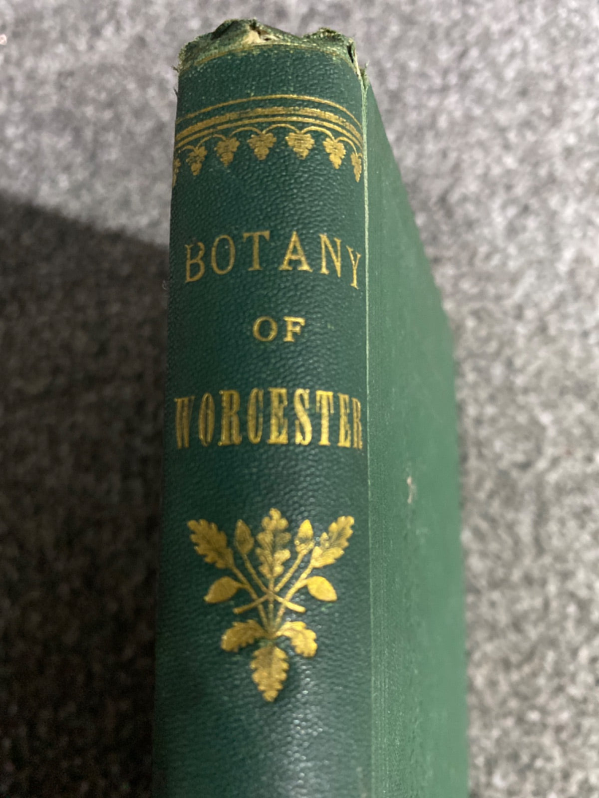 The Botany of Worcestershire, or the Distribution of the Indigenous & Naturalized Plants of that County - Edwin Lees