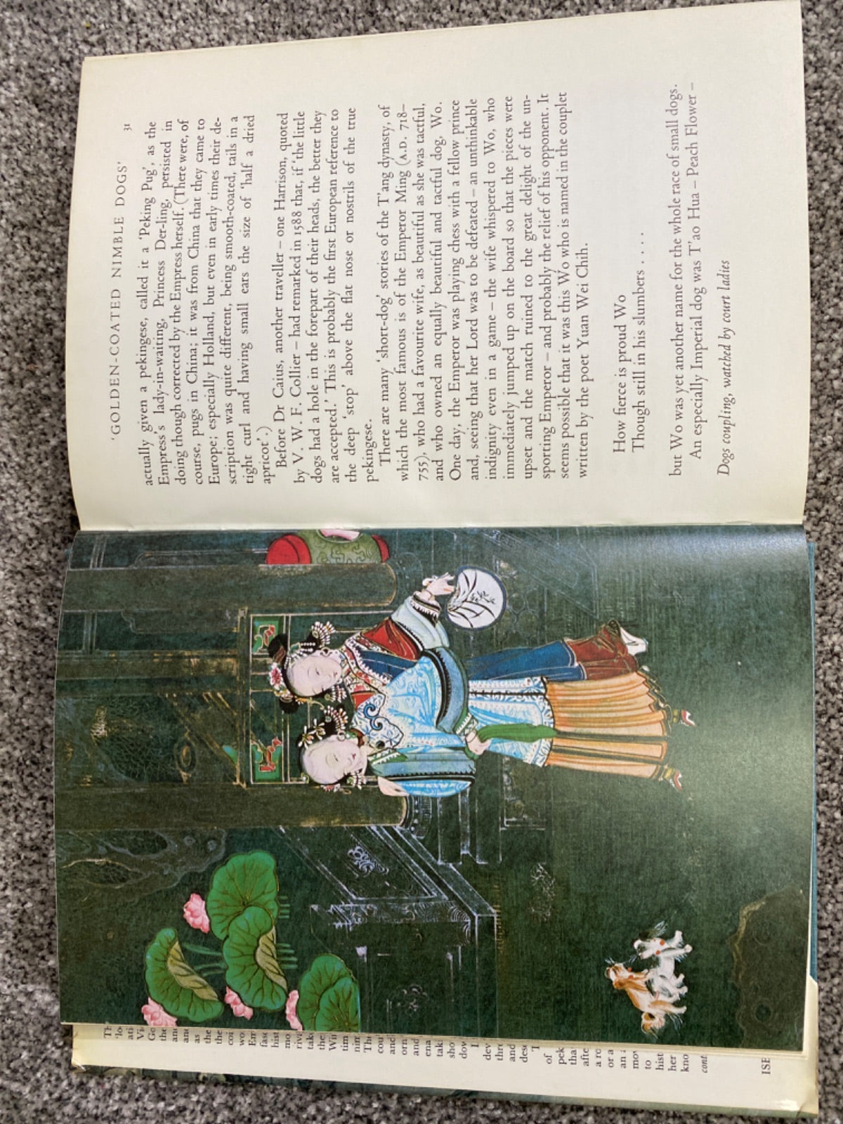 The butterfly lions: the story of the Pekingese in history, legend and art - Rumer Godden