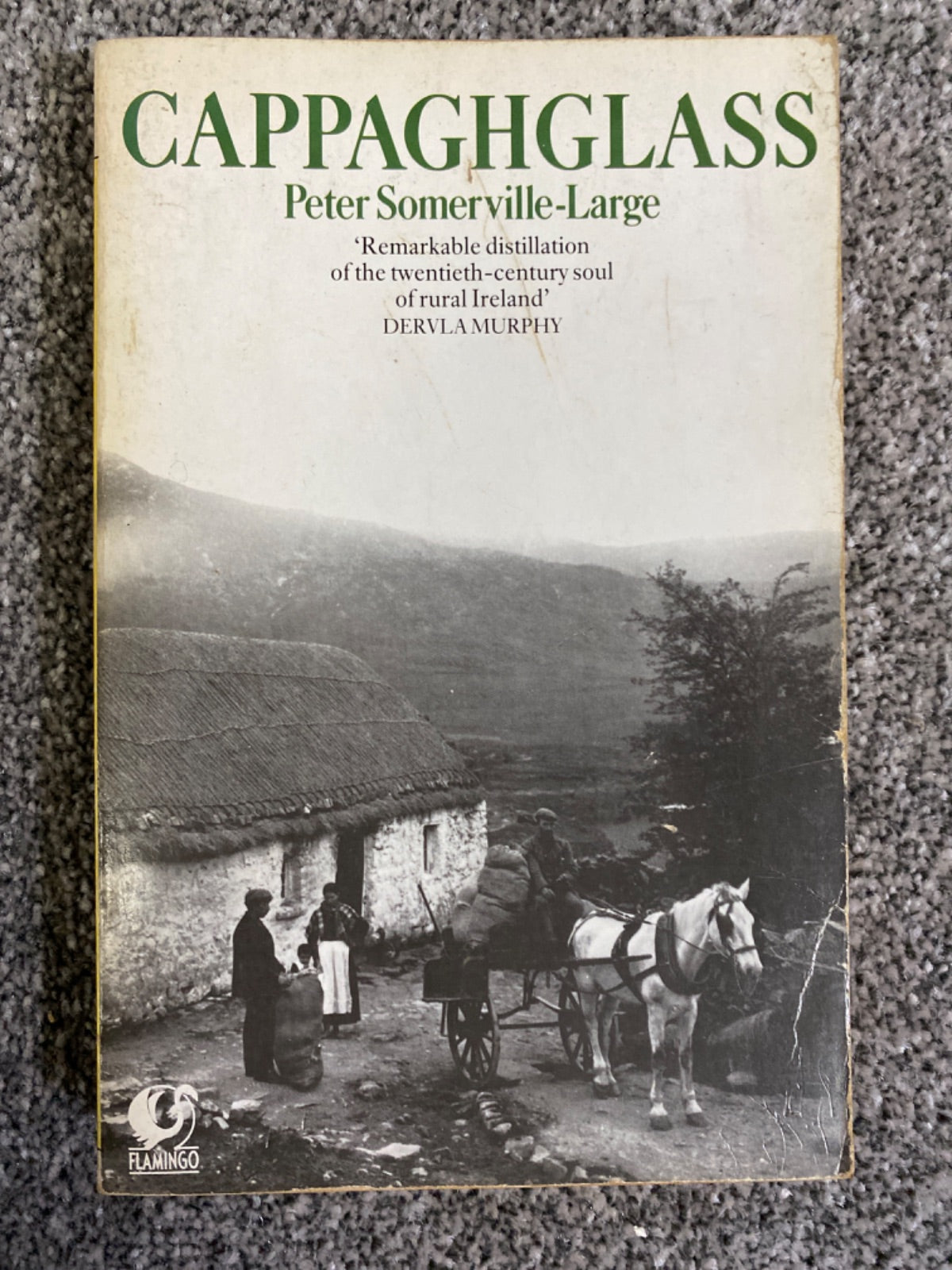 Cappaghglass (Flamingo S) - Peter Somerville- Large