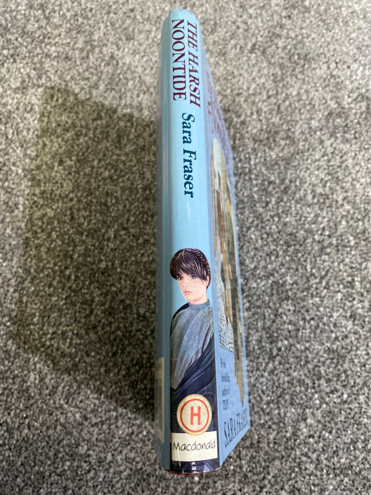 The Harsh Noontide - Sara Fraser