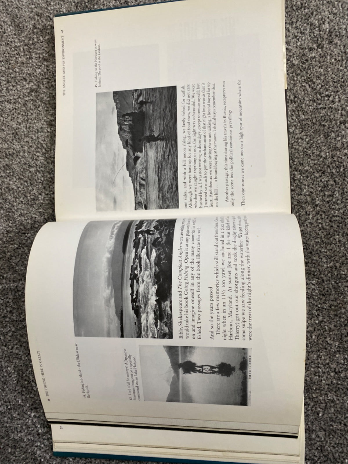 The fishing here is great: a light-hearted discourse on the social history of angling as depicted on old postcards - Derek Henry Mills