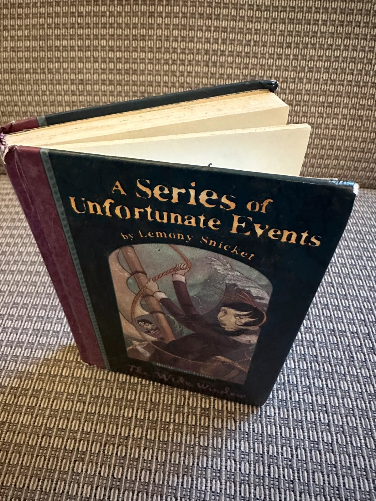 A Series of Unfortunate Events: The Wide Window - Lemony Snicket