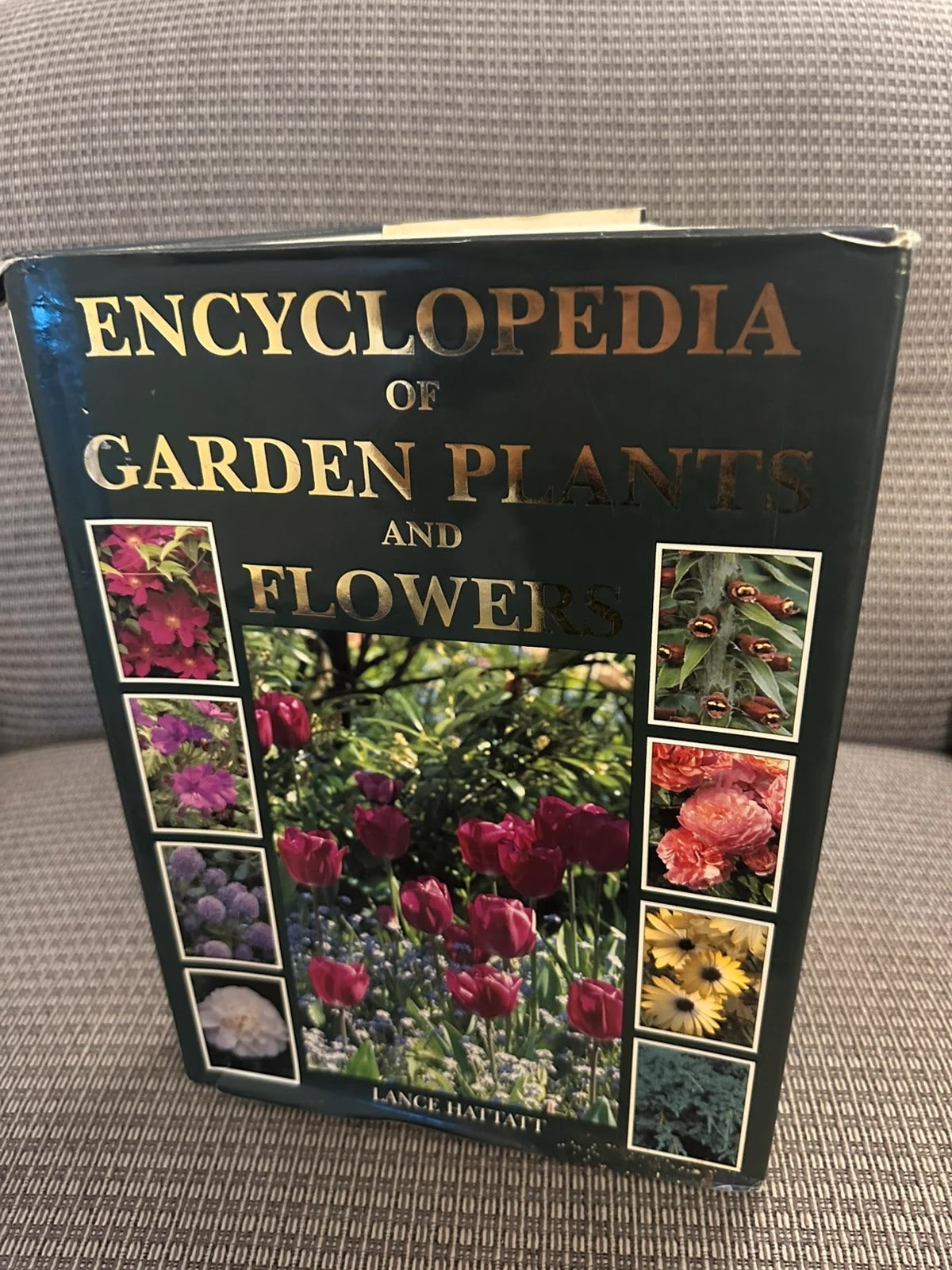 Encyclopedia of Garden Plants & Flowers - Lance Hattatt
