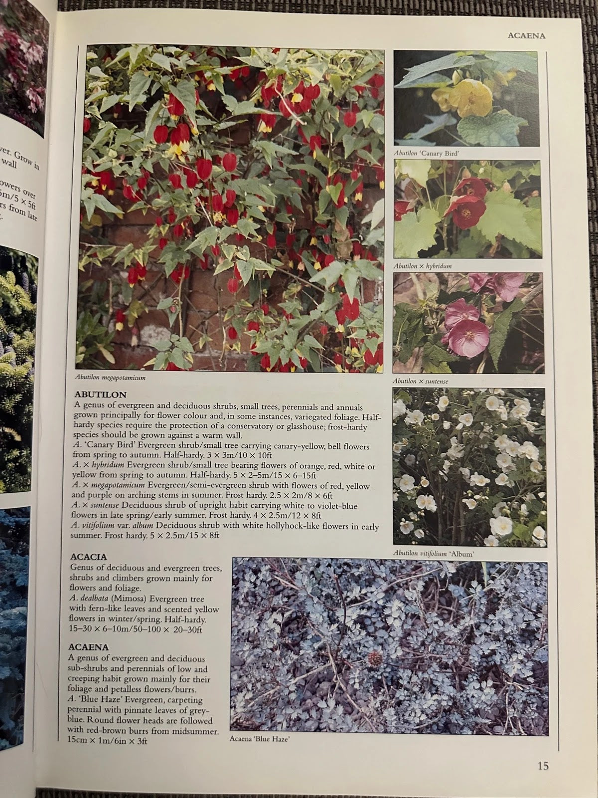 Encyclopedia of Garden Plants & Flowers - Lance Hattatt