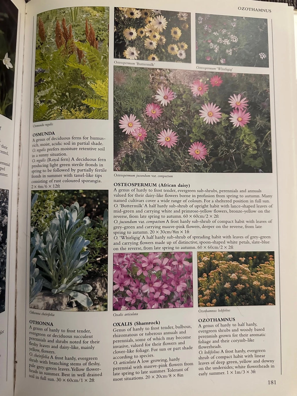 Encyclopedia of Garden Plants & Flowers - Lance Hattatt