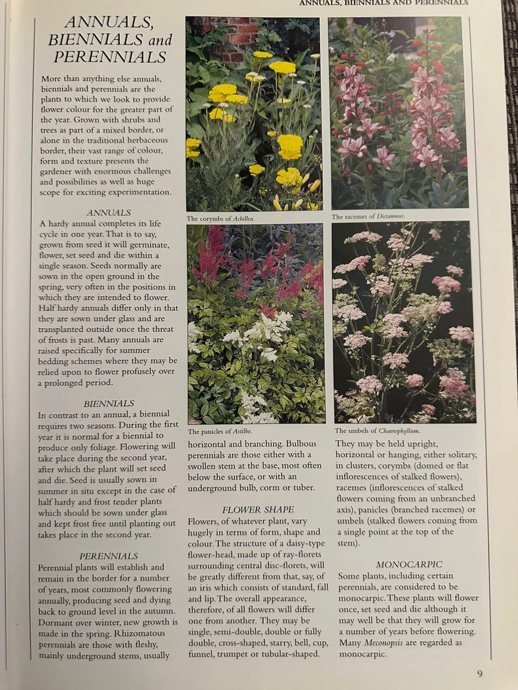 Encyclopedia of Garden Plants & Flowers - Lance Hattatt