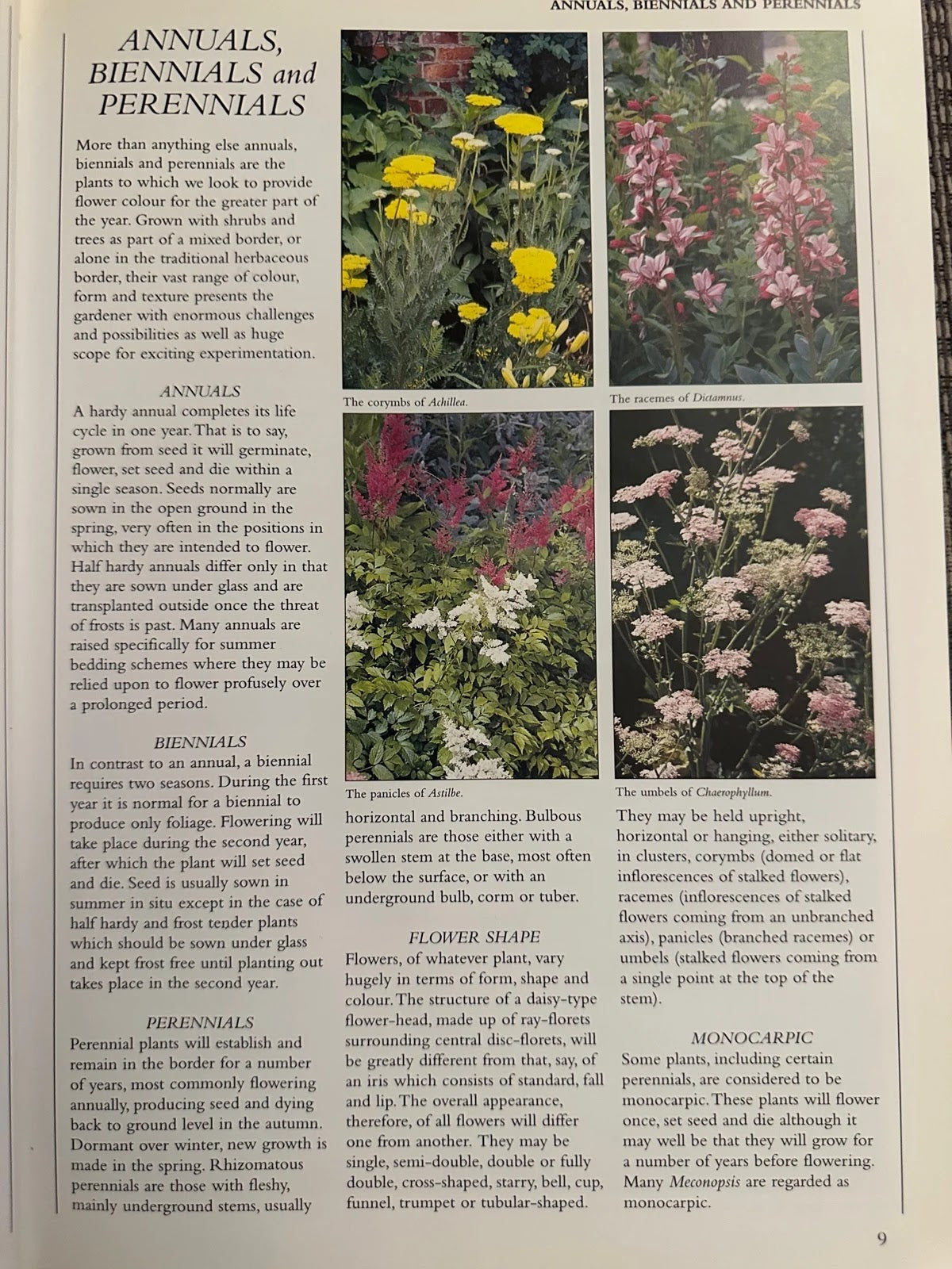 Encyclopedia of Garden Plants & Flowers - Lance Hattatt