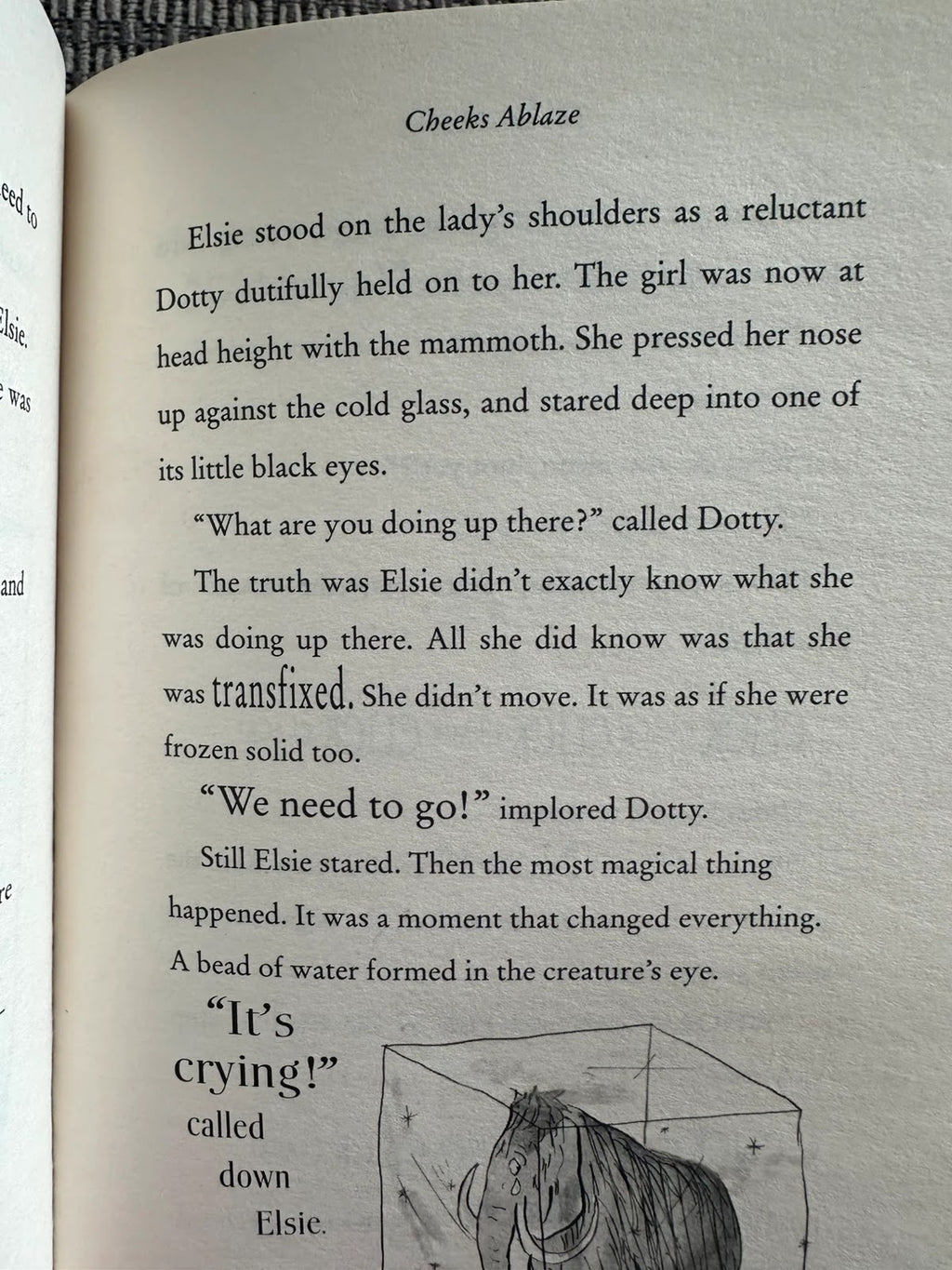 The Ice Monster - David Walliams