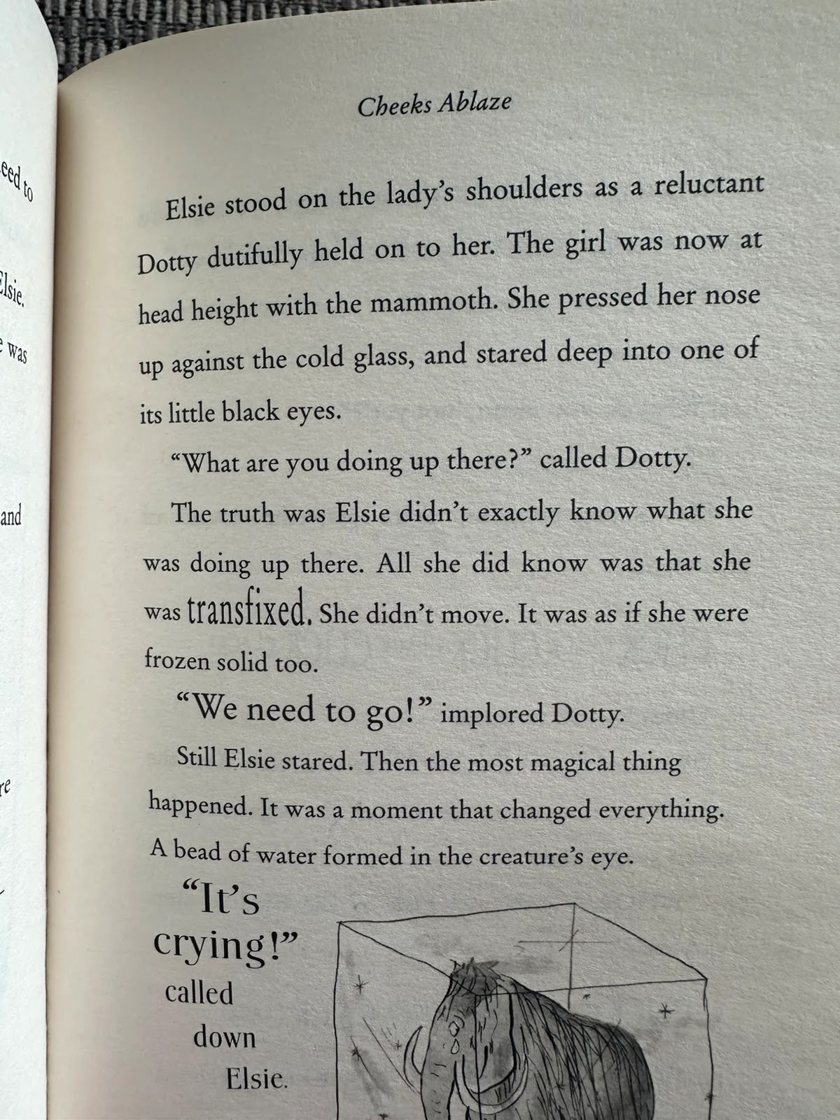The Ice Monster - David Walliams