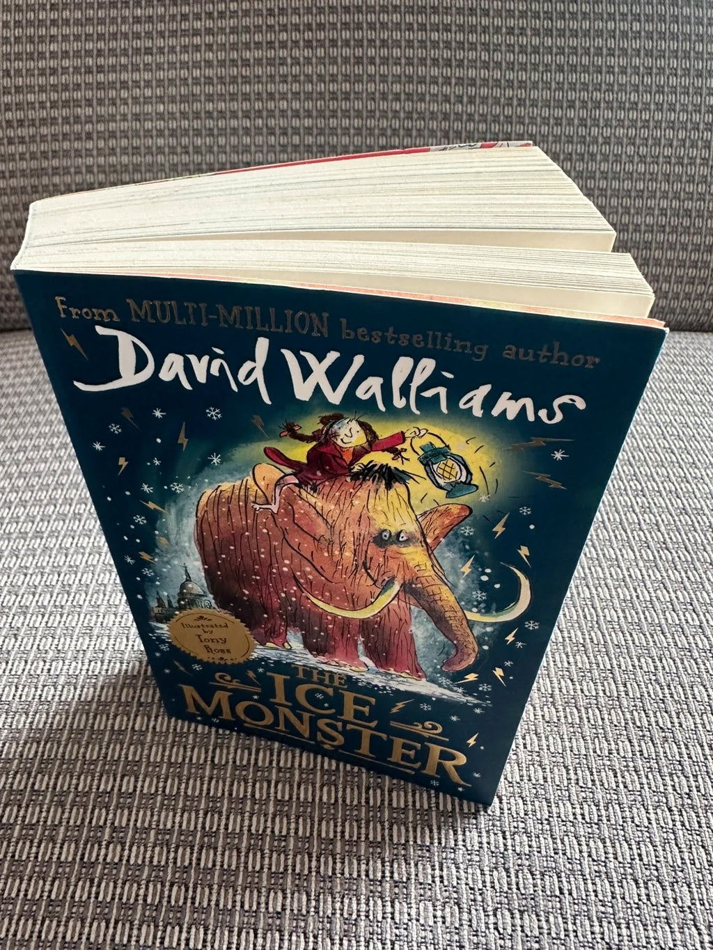 The Ice Monster - David Walliams