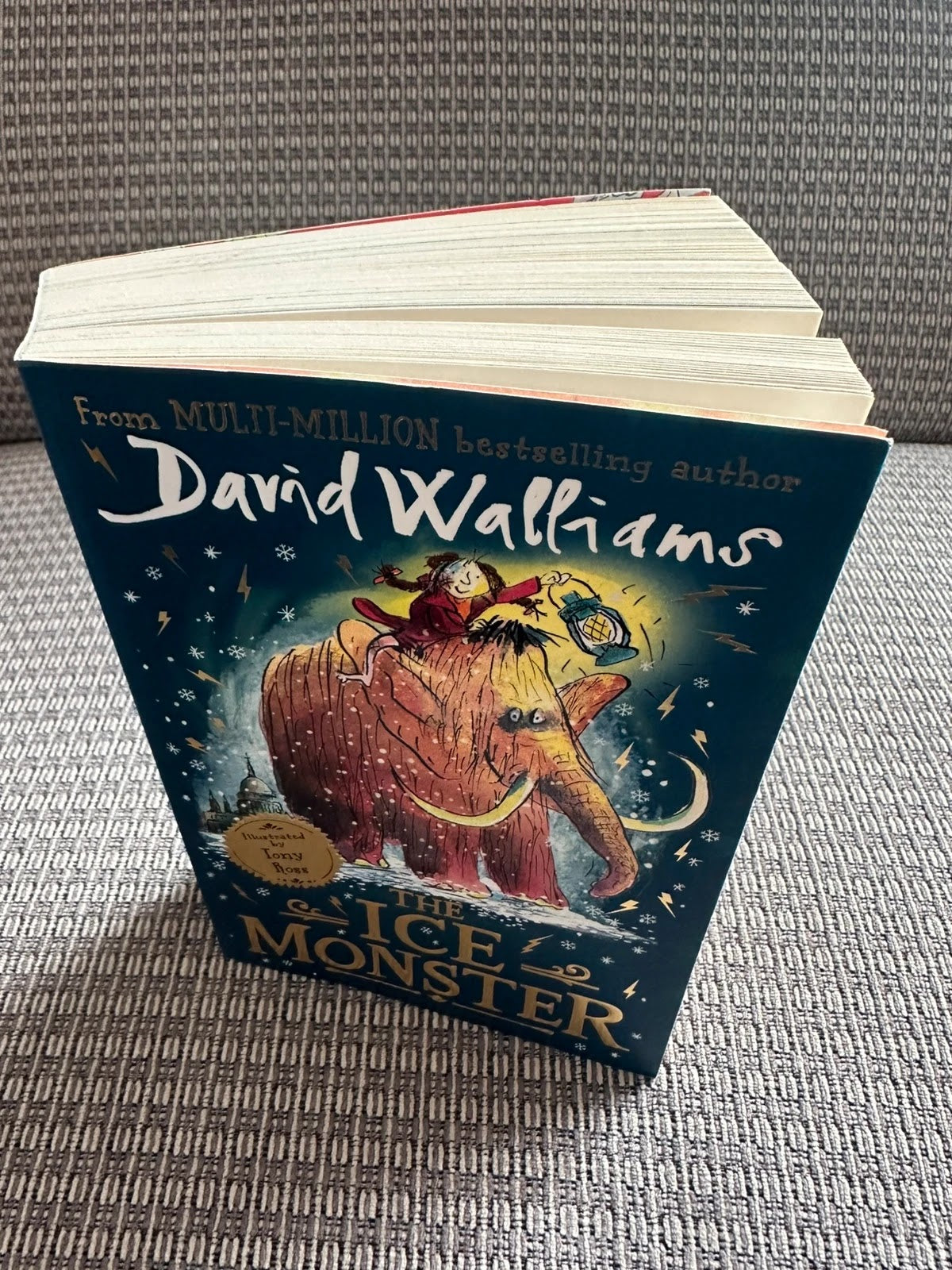 The Ice Monster - David Walliams
