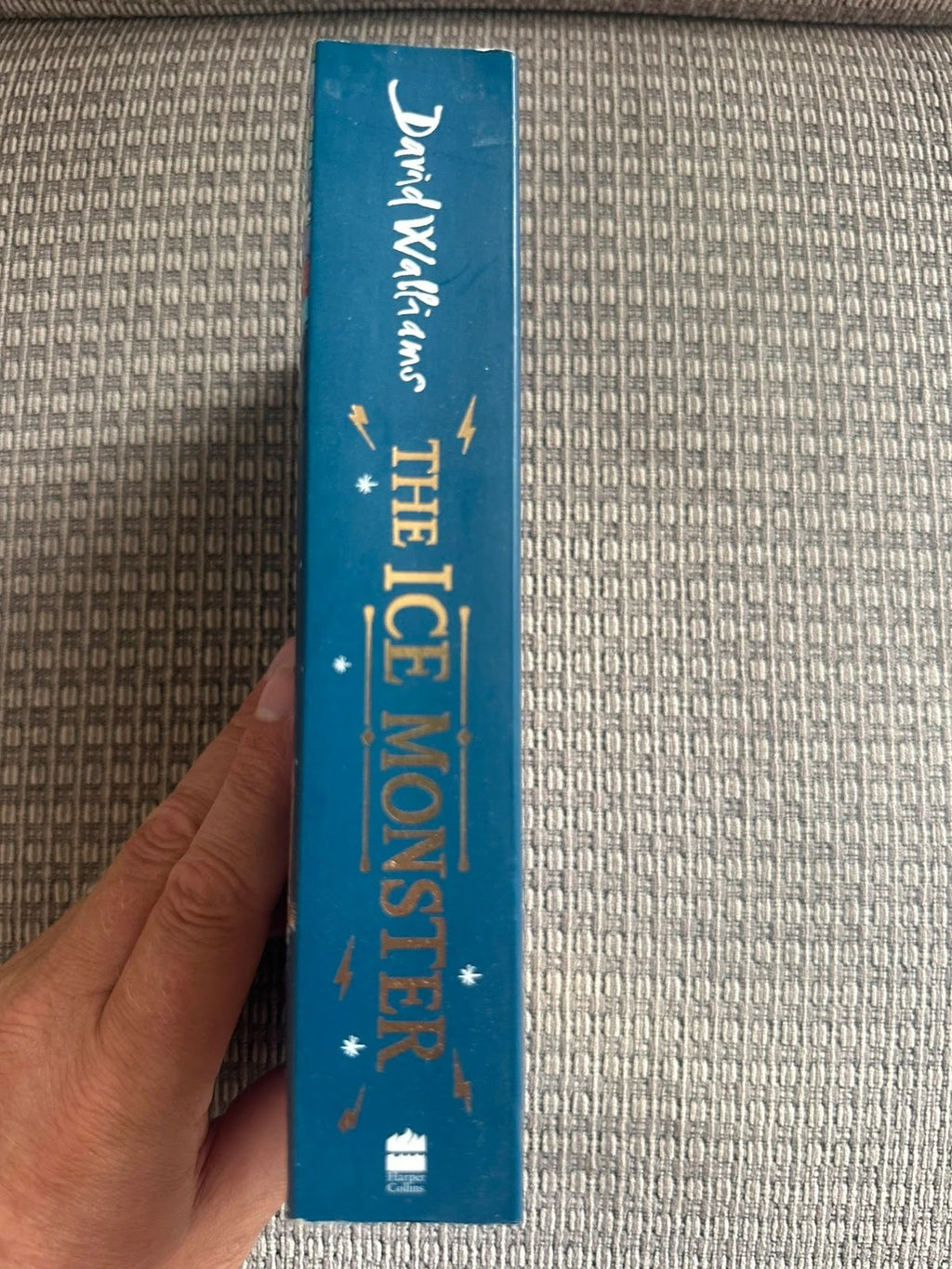 The Ice Monster - David Walliams