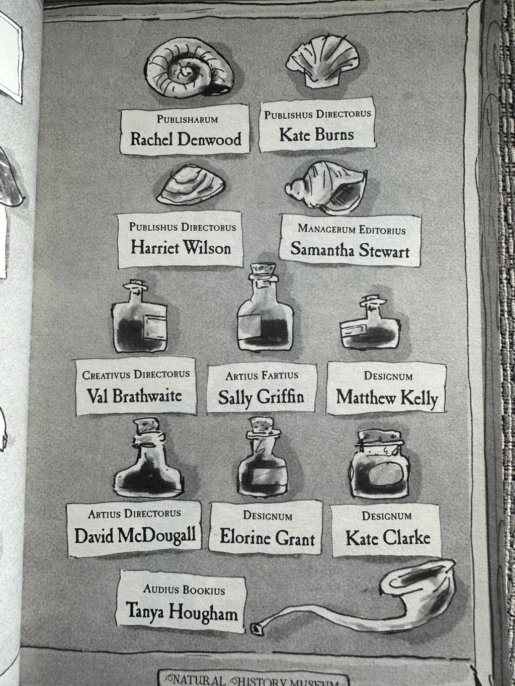 The Ice Monster - David Walliams