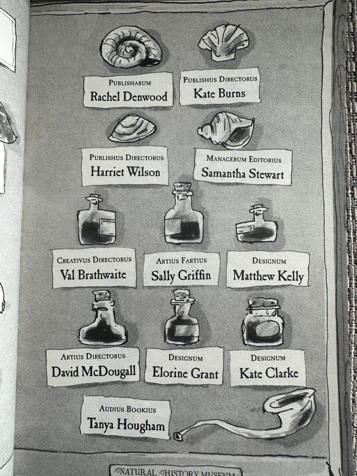 The Ice Monster - David Walliams