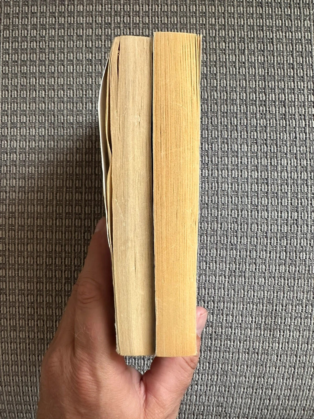 Badlands Heart / Badlands Law - Ruth Langan