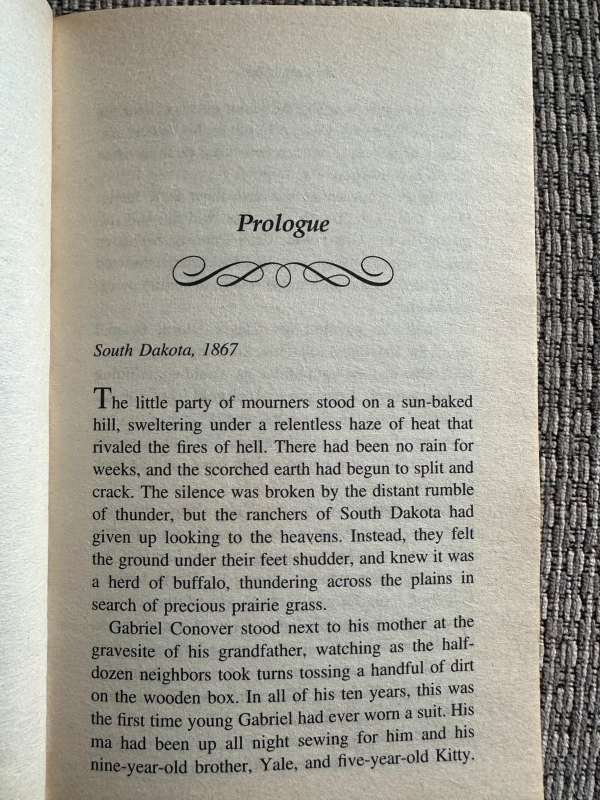 Badlands Heart / Badlands Law - Ruth Langan