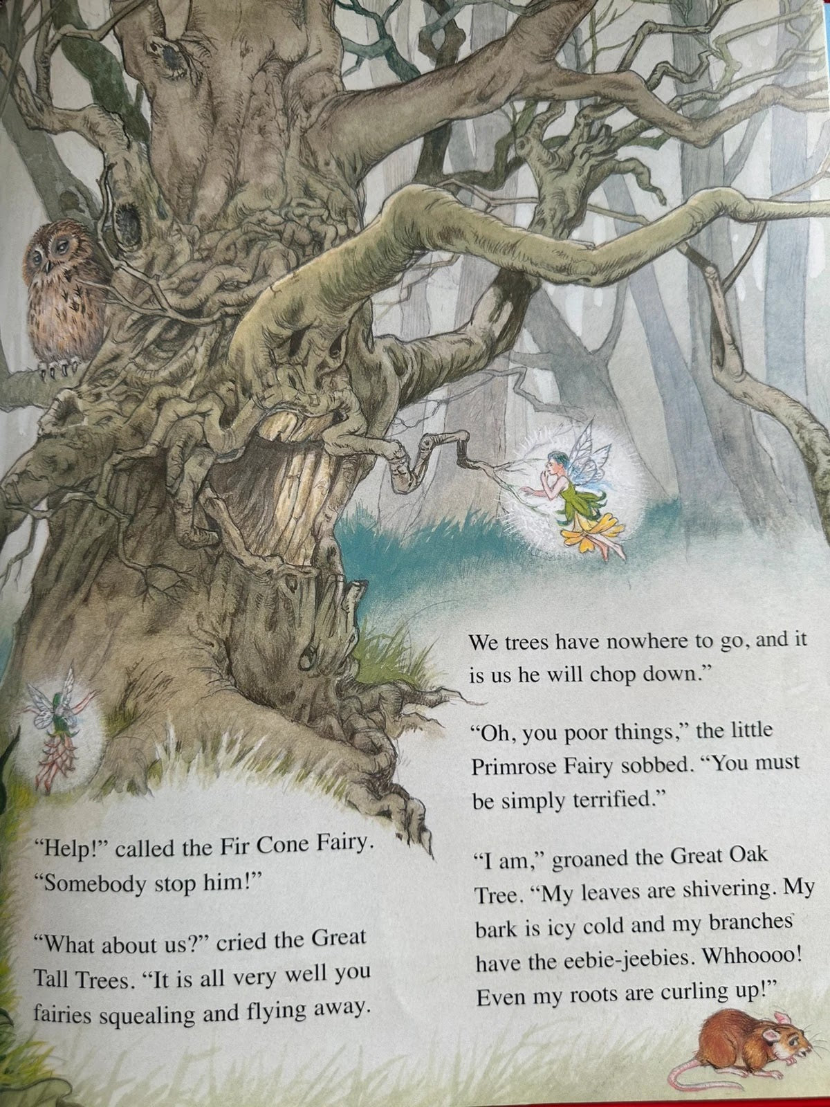 Stories & Rhymes Children's Fairy Tale Nursery Rhyme