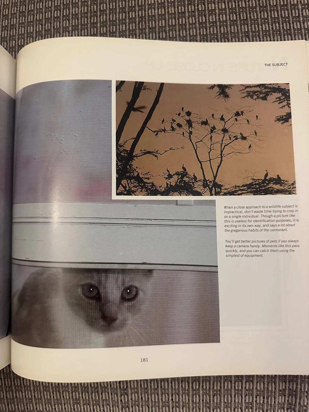 The Complete 35mm Source Book - Michelle Busselle