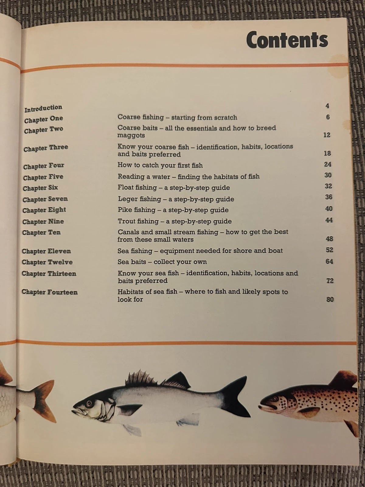 A First Guide to Fishing