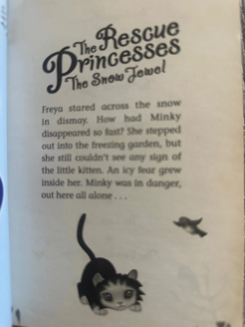 The Rescue Princesses: The Snow Jewel - Paula Harrison