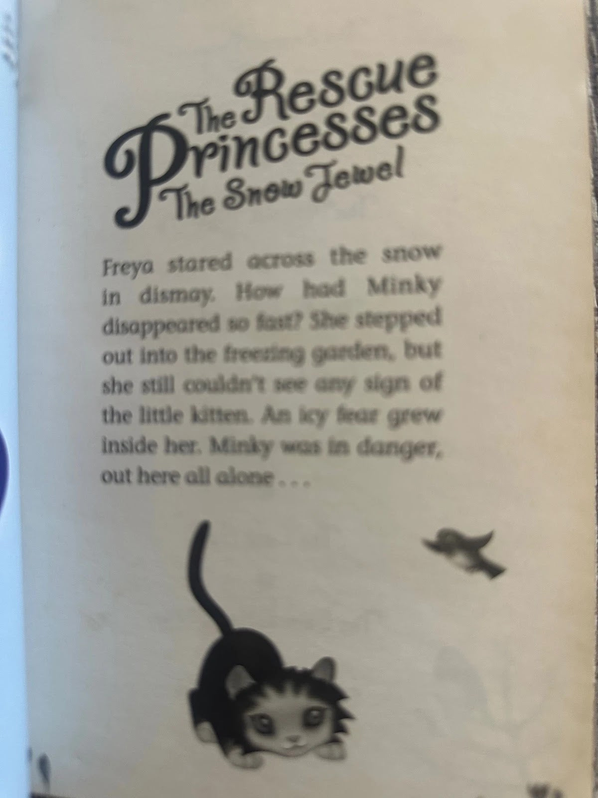 The Rescue Princesses: The Snow Jewel - Paula Harrison