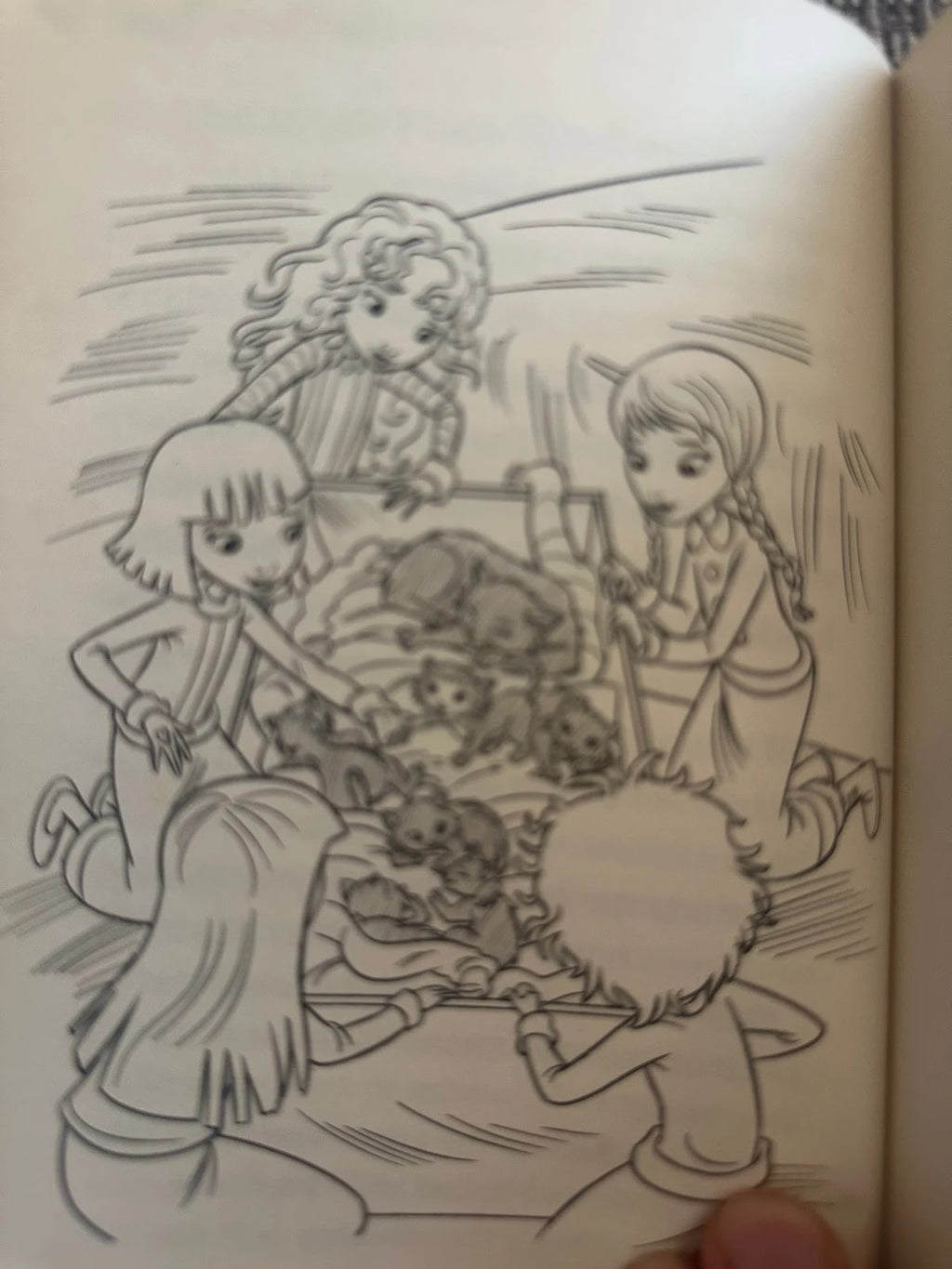 The Rescue Princesses: The Snow Jewel - Paula Harrison