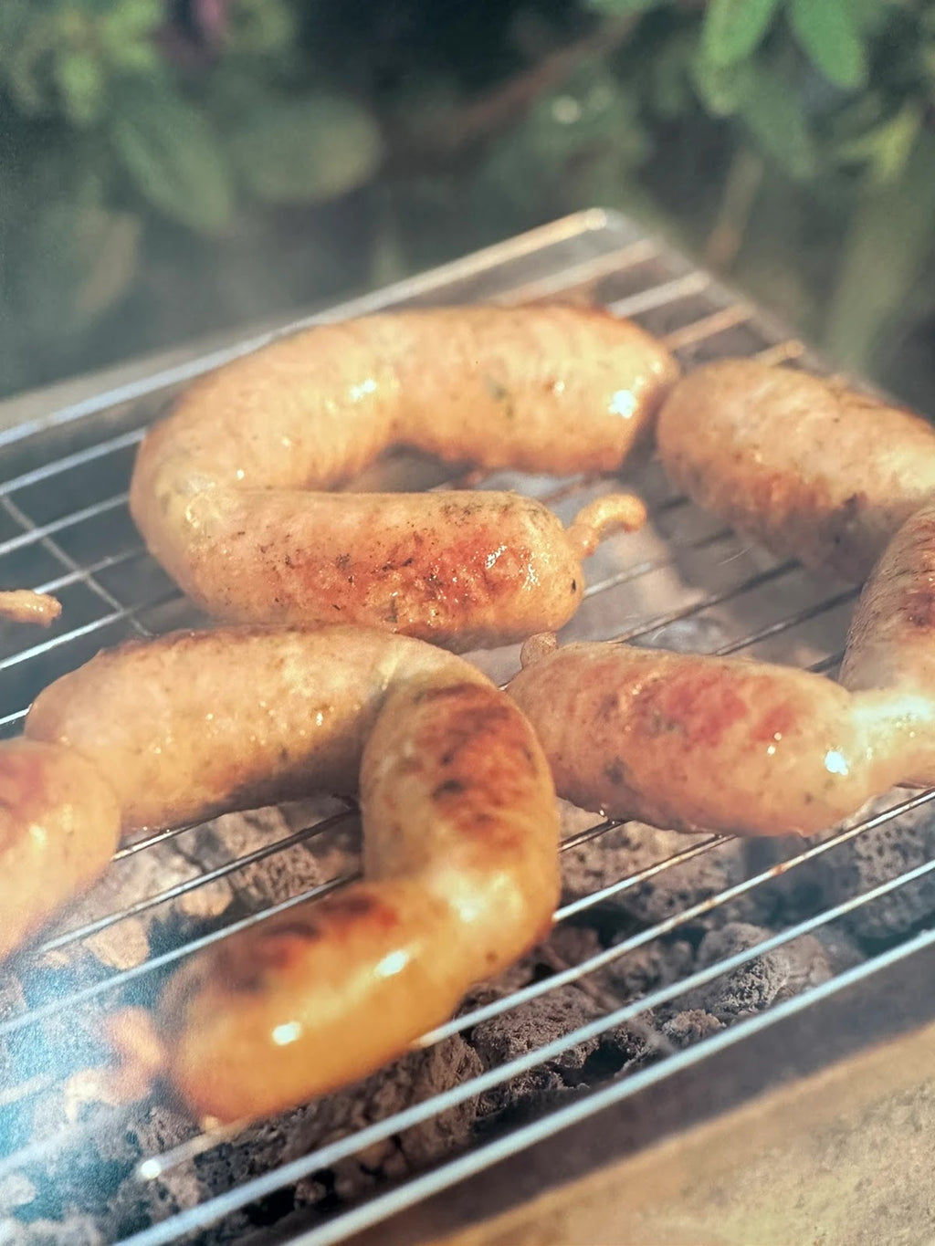 Barbecue Bible