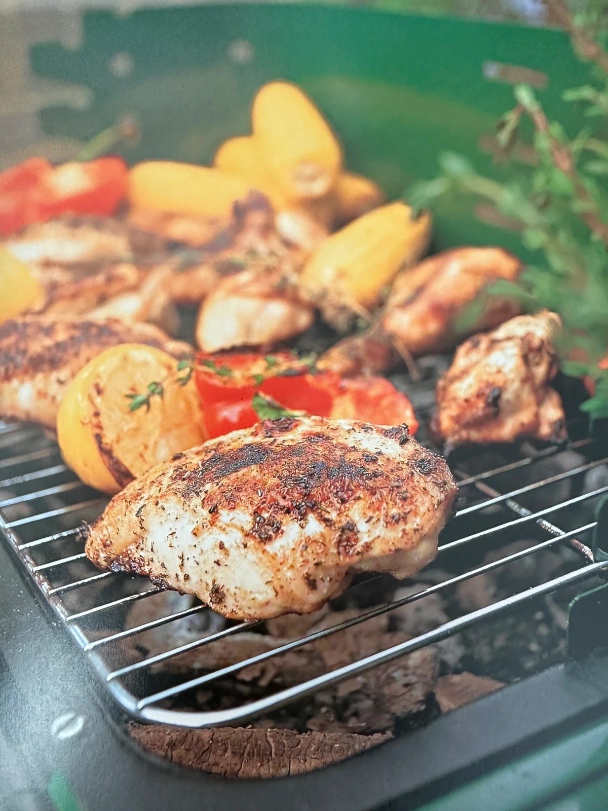 Barbecue Bible