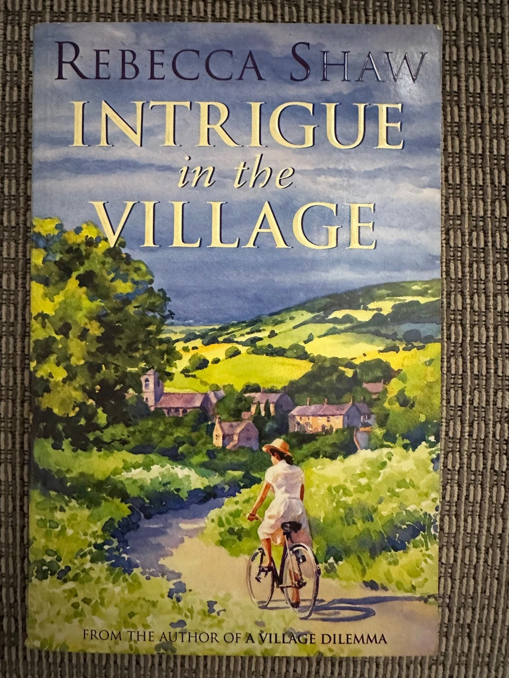 Intrigue in the Village - Rebecca Shaw