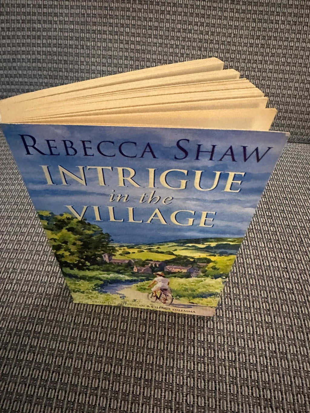 Intrigue in the Village - Rebecca Shaw