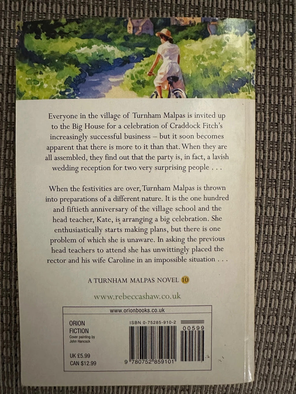 Intrigue in the Village - Rebecca Shaw