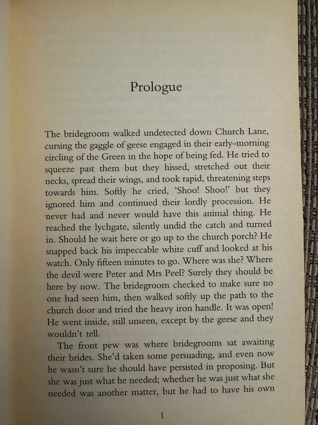 Intrigue in the Village - Rebecca Shaw