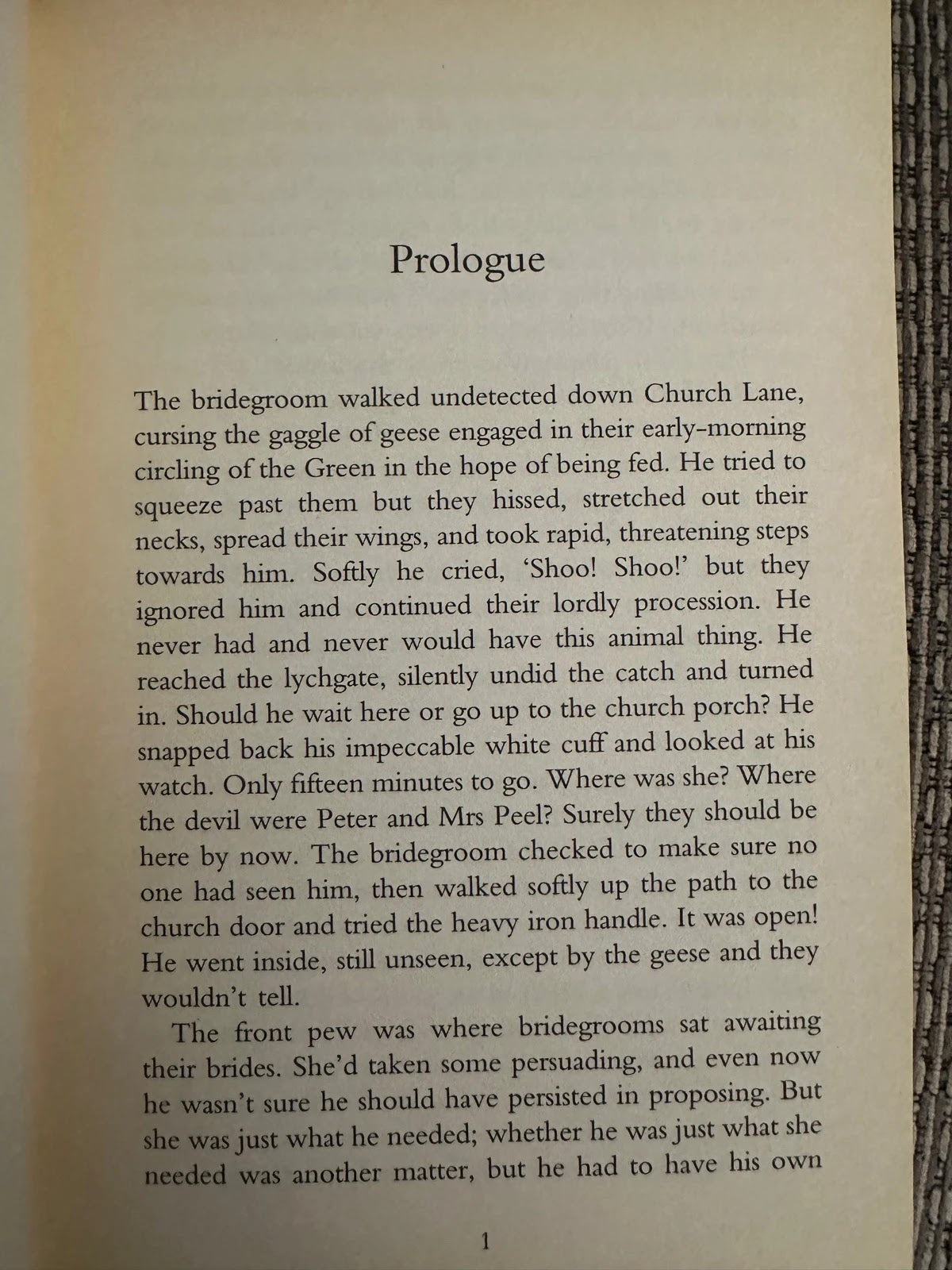 Intrigue in the Village - Rebecca Shaw