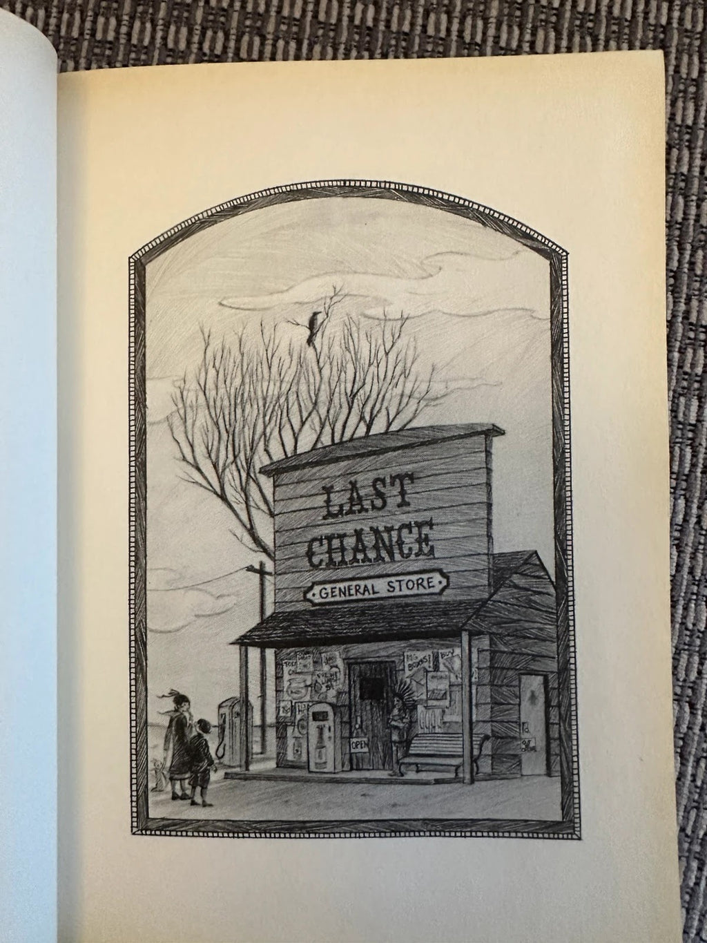 A Series of Unfortunate Events: The Hostile Hospital - Lemony Snicket