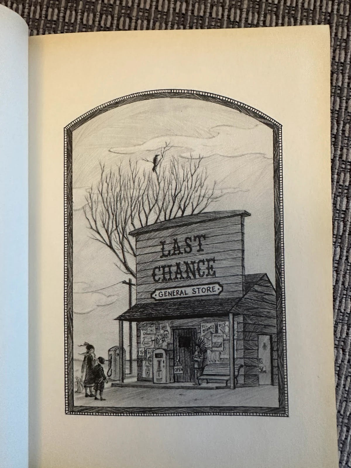 A Series of Unfortunate Events: The Hostile Hospital - Lemony Snicket
