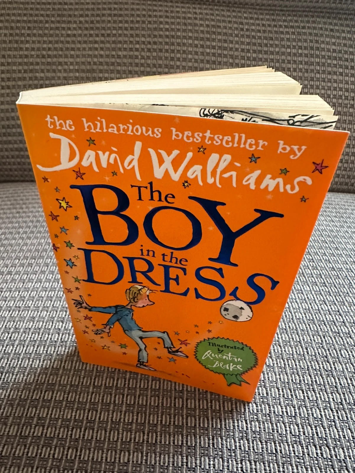 The Boy in the Dress - David Walliams