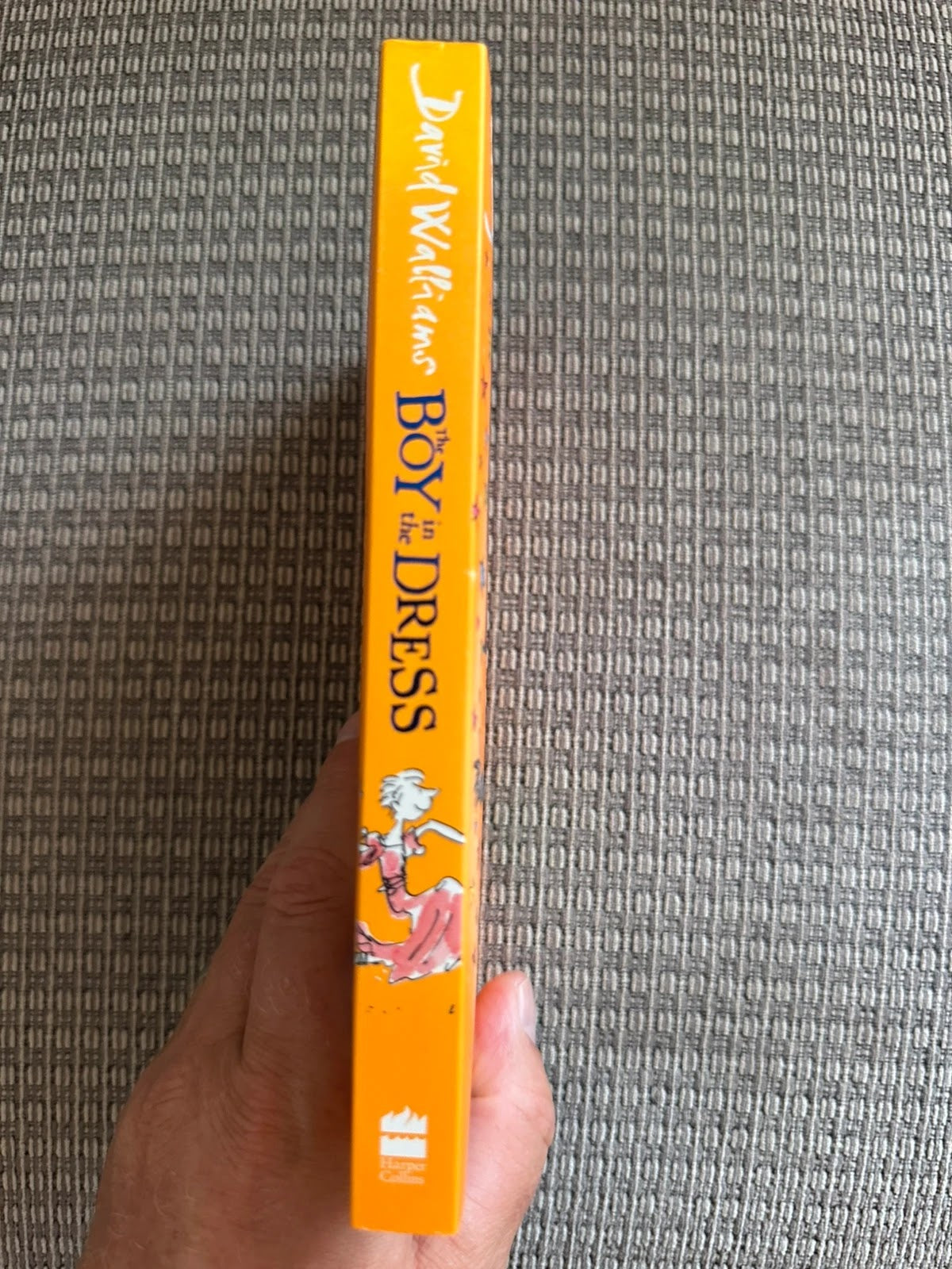 The Boy in the Dress - David Walliams