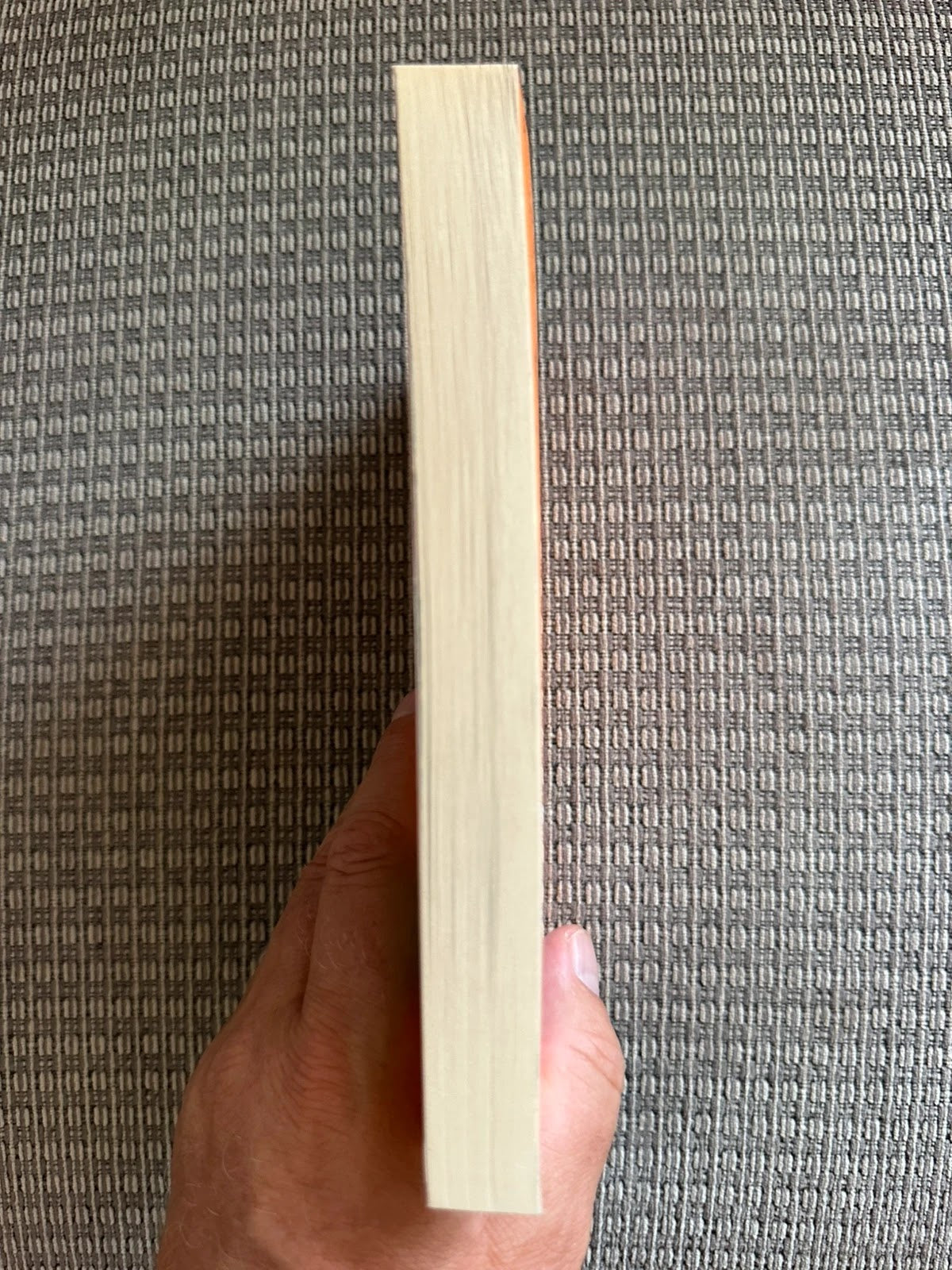 The Boy in the Dress - David Walliams