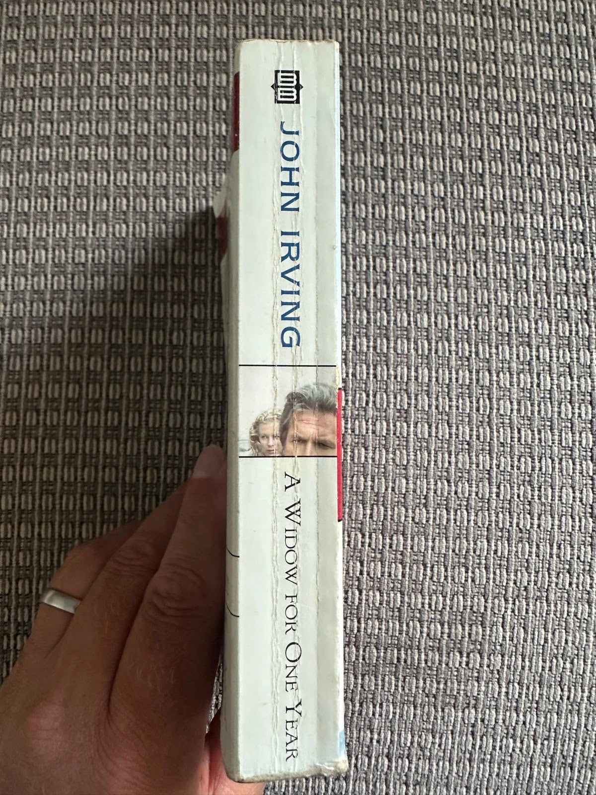 A Widow for a Year - John Irving