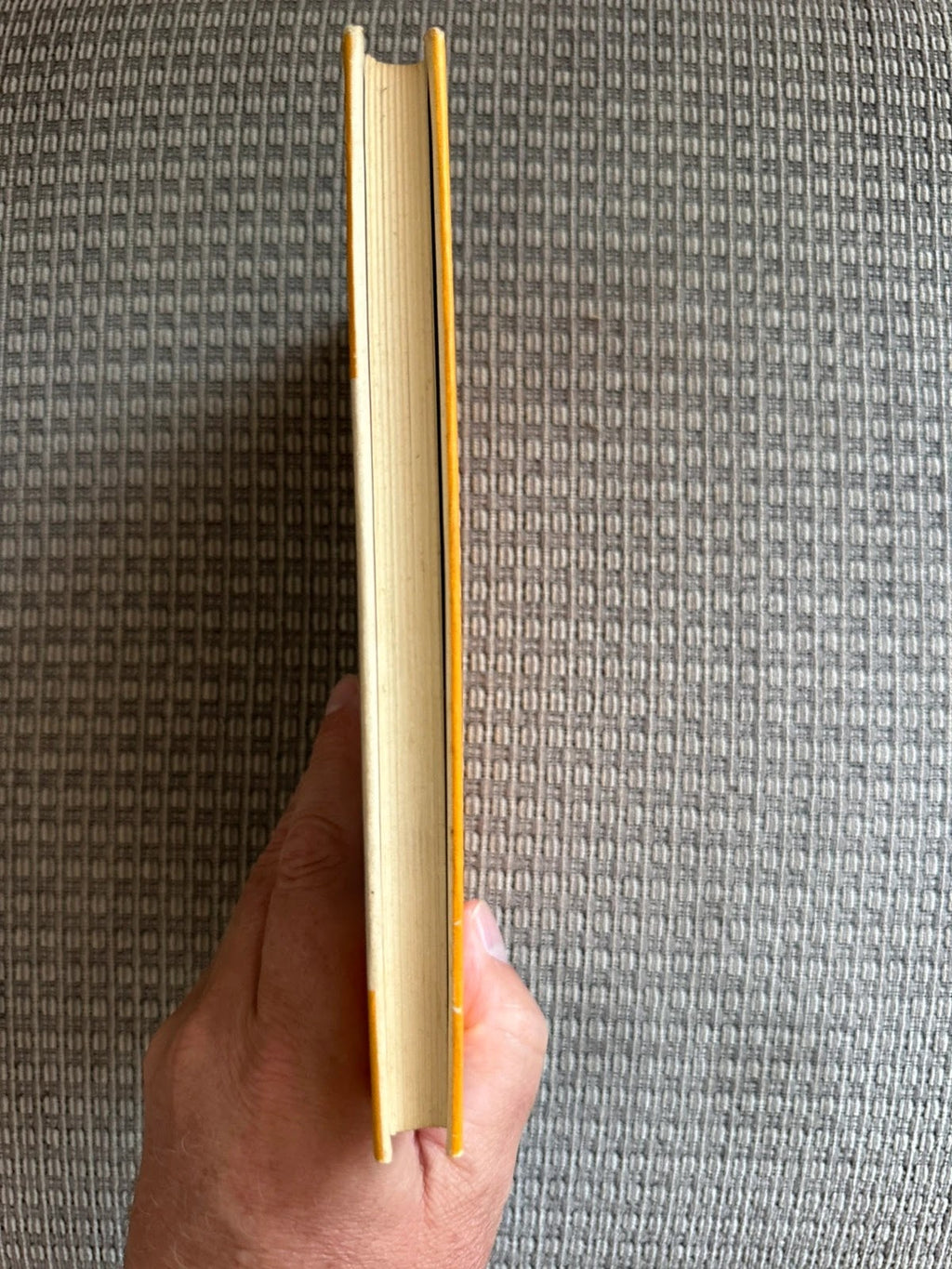 Vintage Anne’s Terrible Good Nature E V Lucas 1970 Hardback Gollancz
