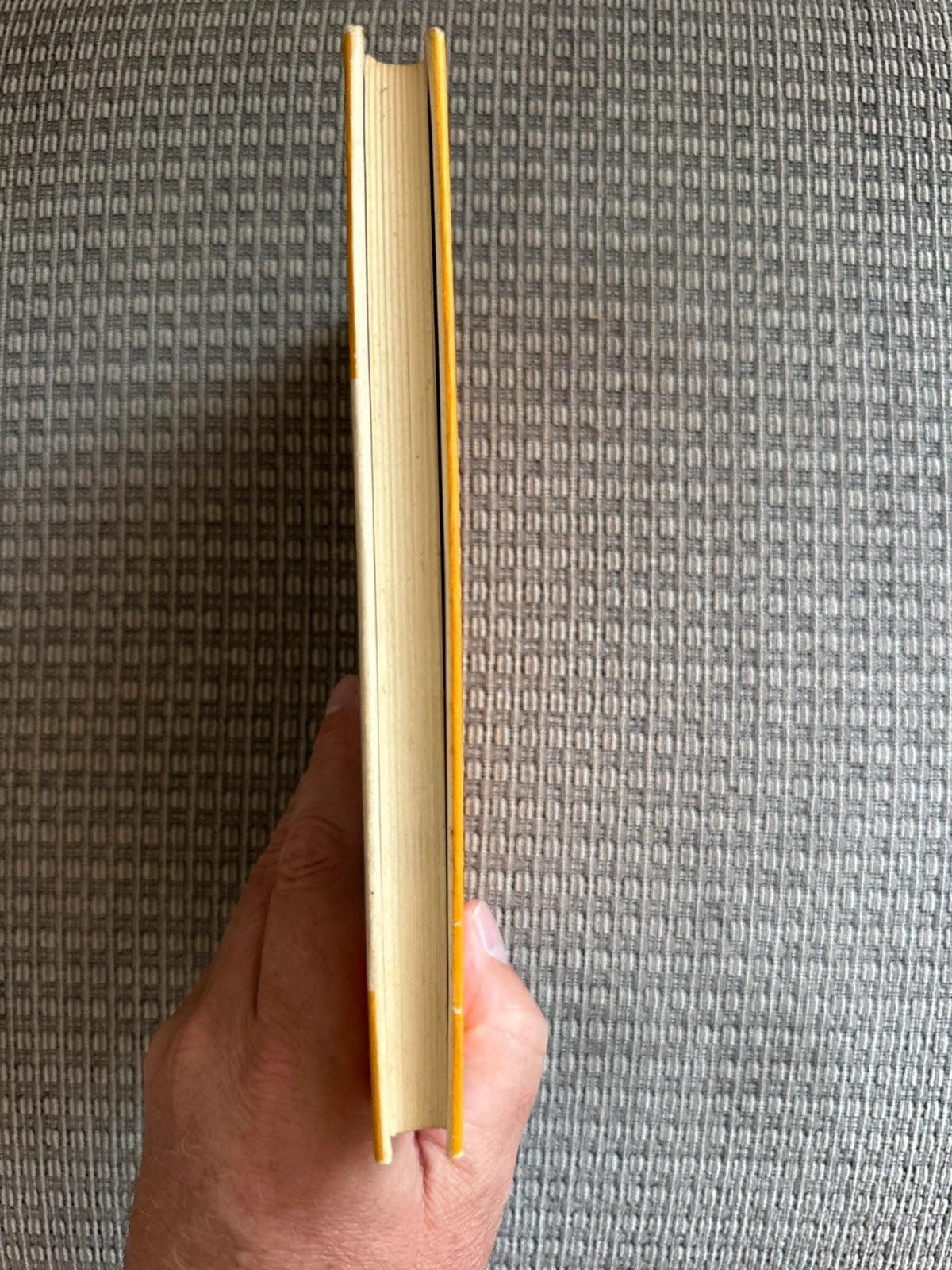 Vintage Anne’s Terrible Good Nature E V Lucas 1970 Hardback Gollancz