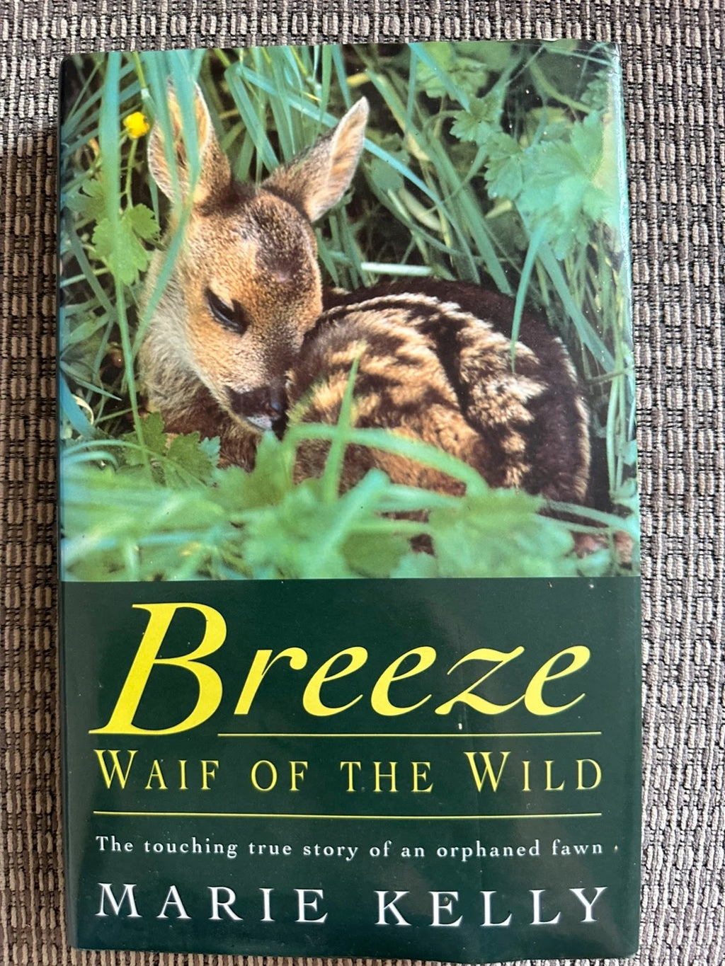 Breeze Waife of the Wild - Marie Kelly