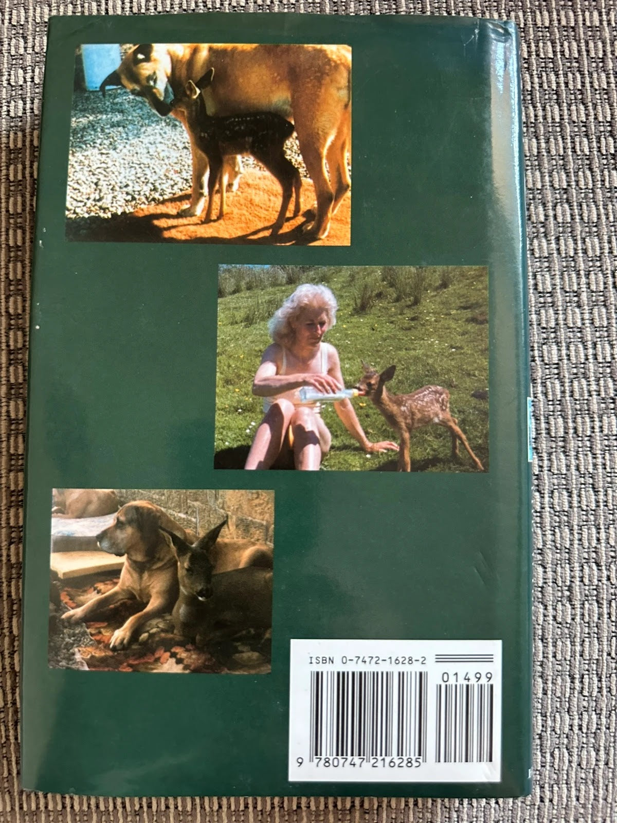 Breeze Waife of the Wild - Marie Kelly