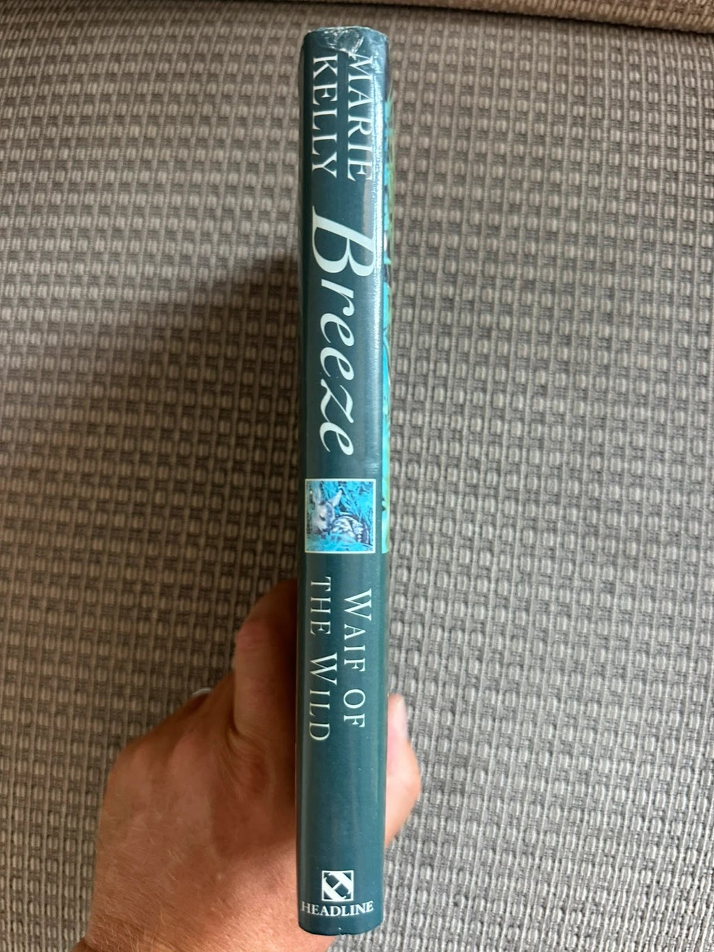 Breeze Waife of the Wild - Marie Kelly
