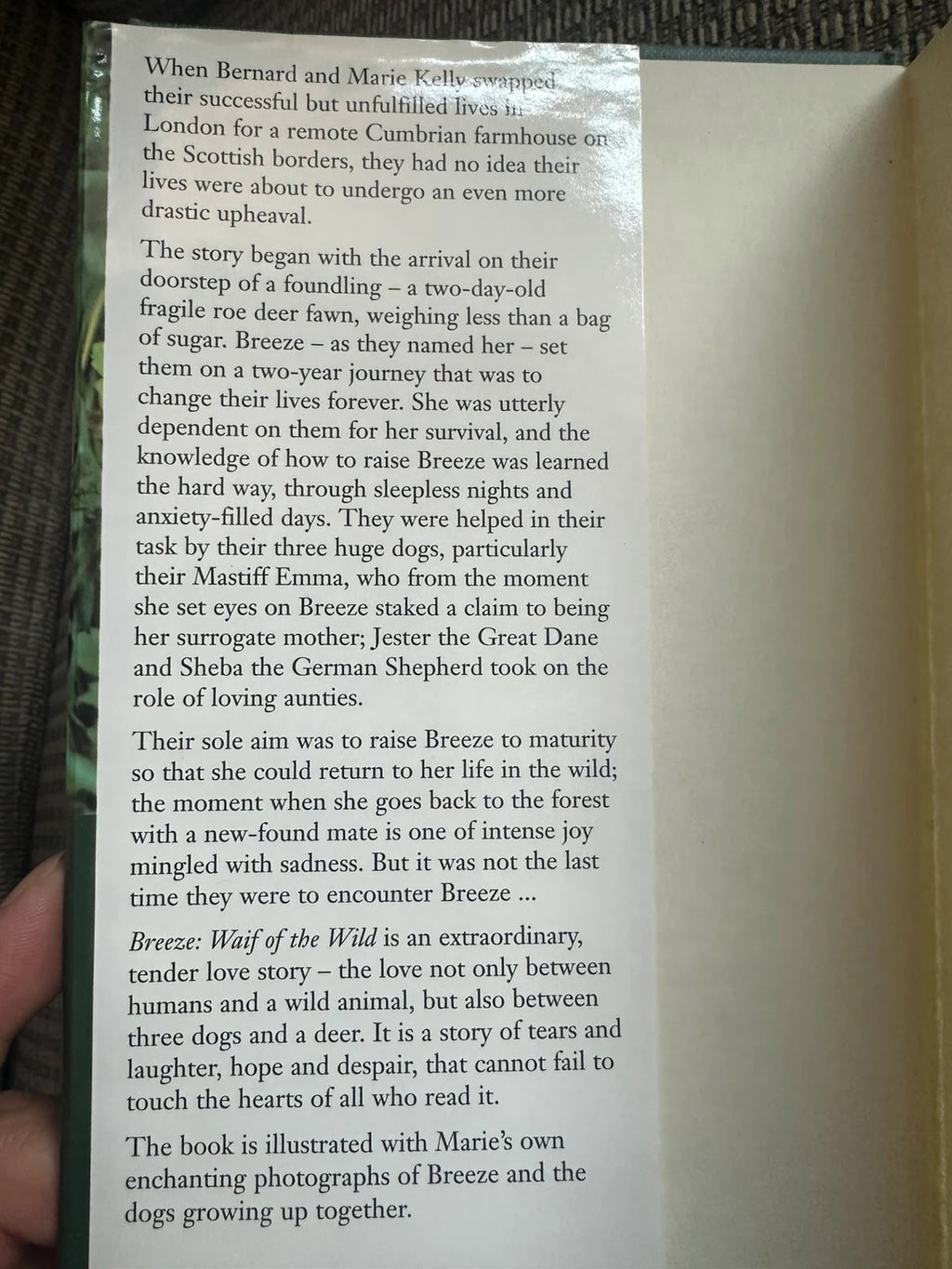 Breeze Waife of the Wild - Marie Kelly