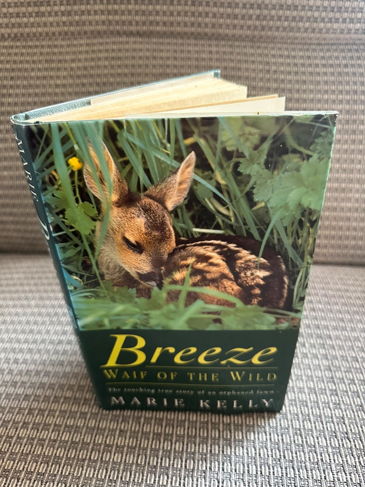 Breeze Waife of the Wild - Marie Kelly