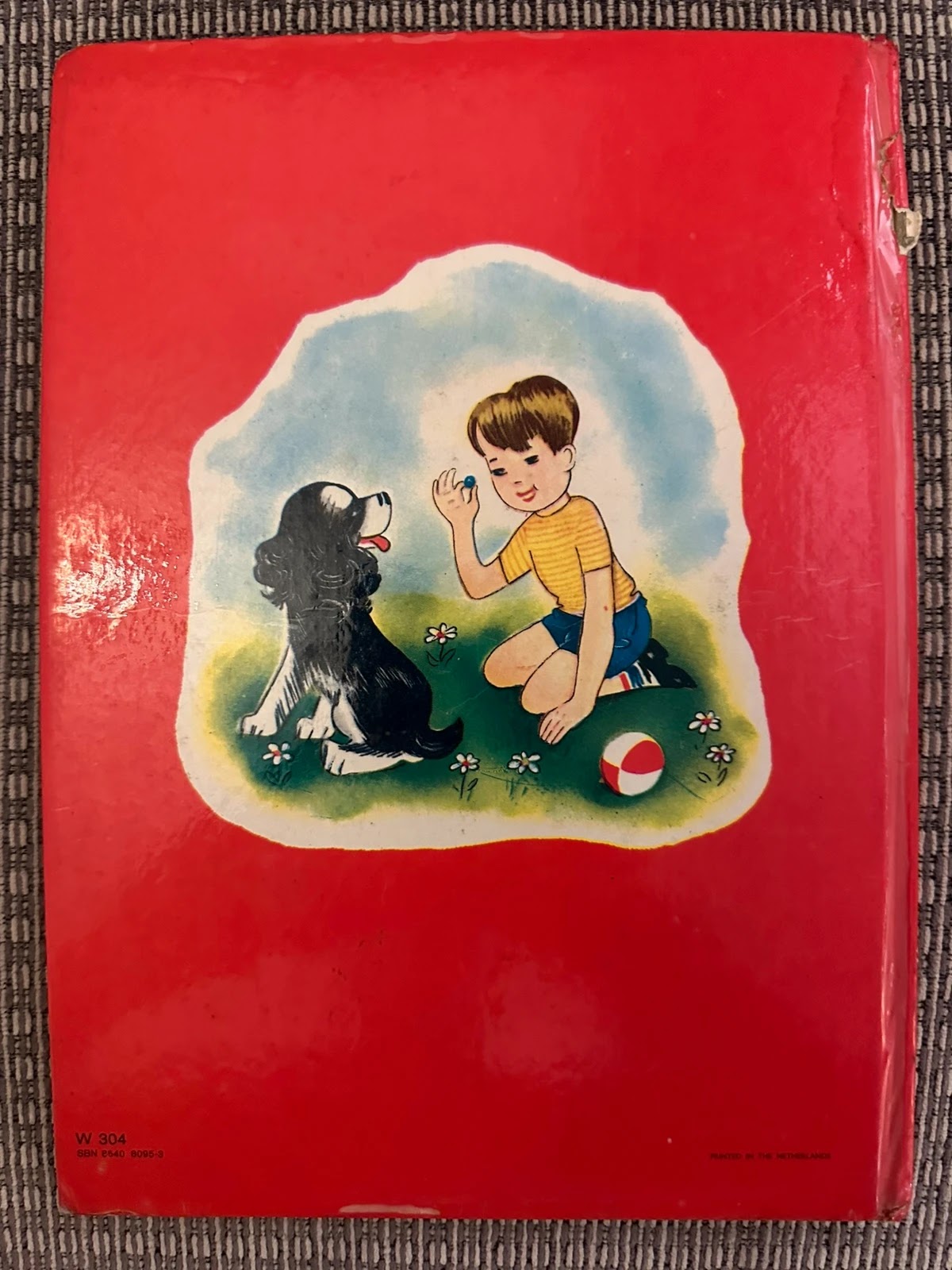 My Pets Story Book - Lorrie Leete-Hodge