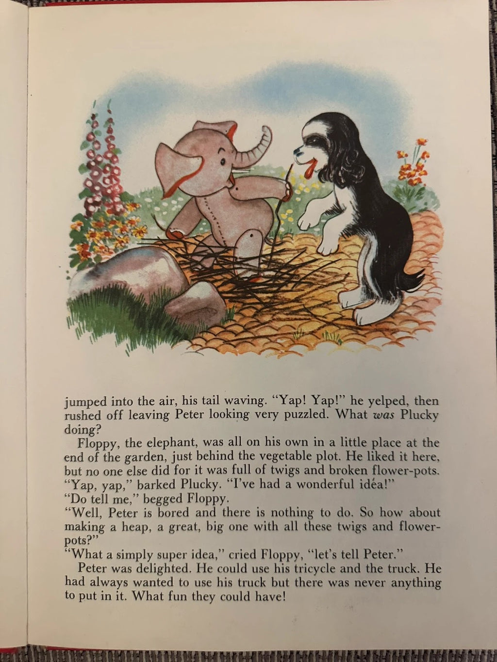 My Pets Story Book - Lorrie Leete-Hodge