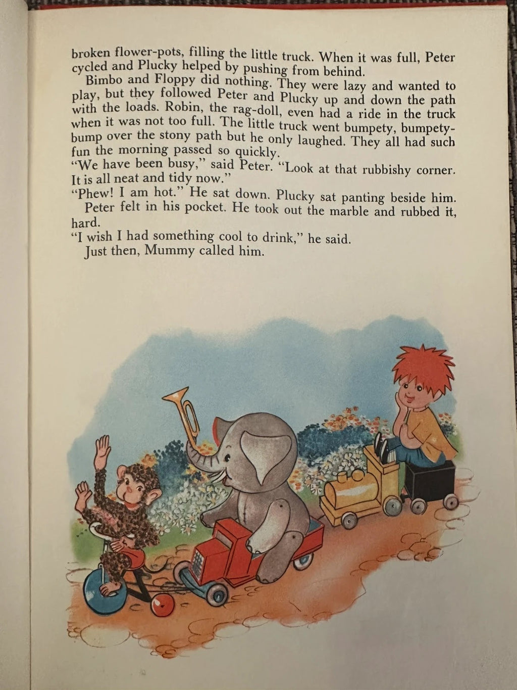 My Pets Story Book - Lorrie Leete-Hodge
