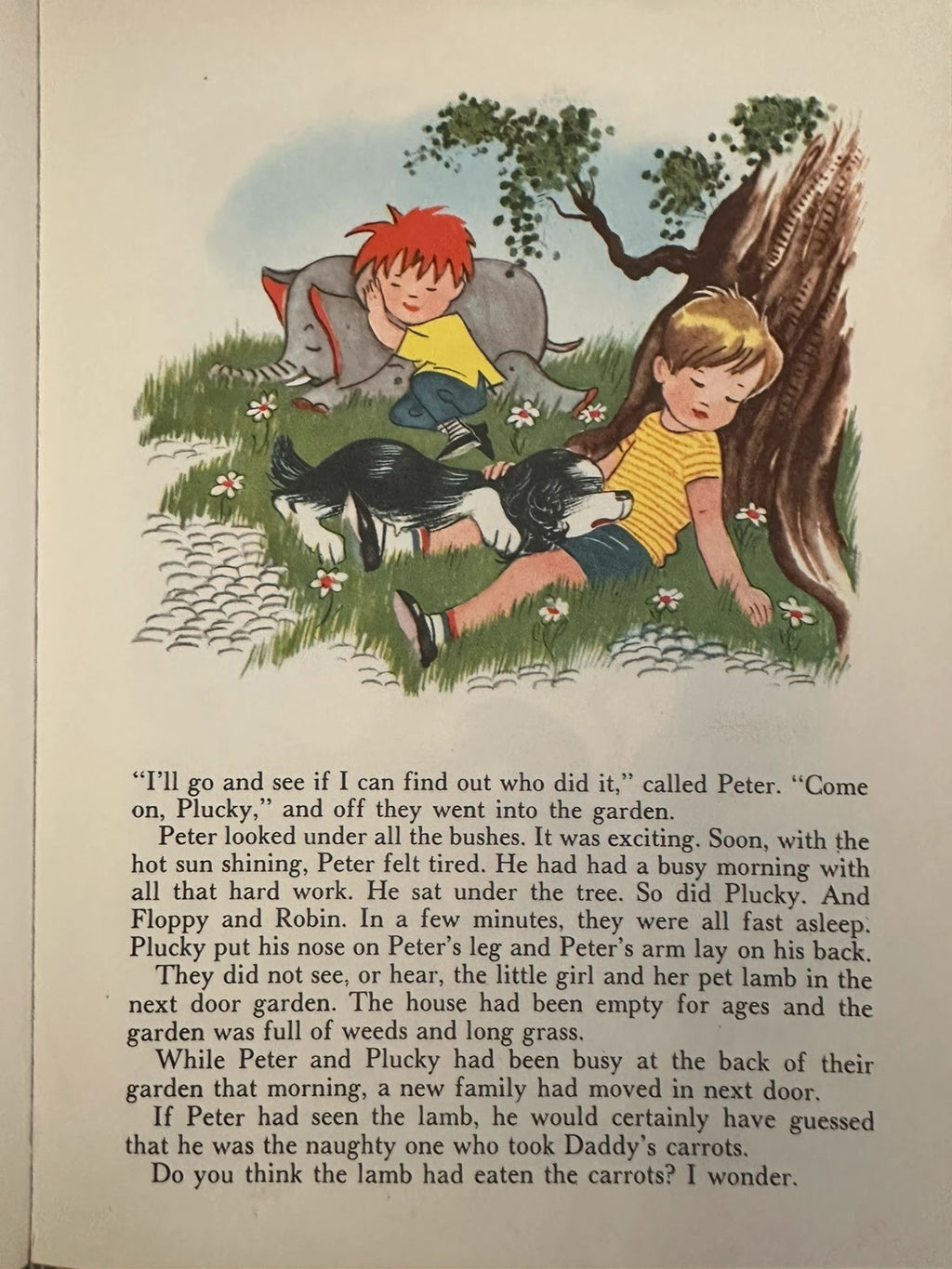 My Pets Story Book - Lorrie Leete-Hodge